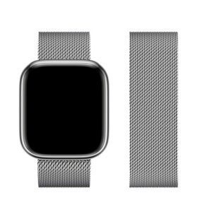 Pasek Forcell do Apple srebrny